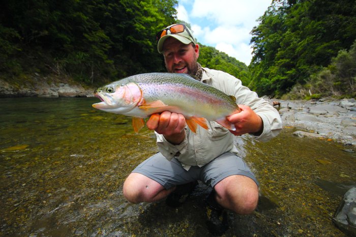 A Paul Anderson Image