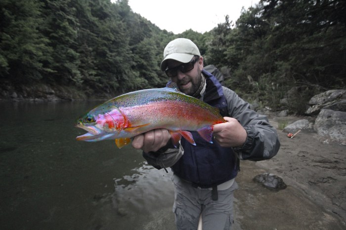 A Paul Anderson image