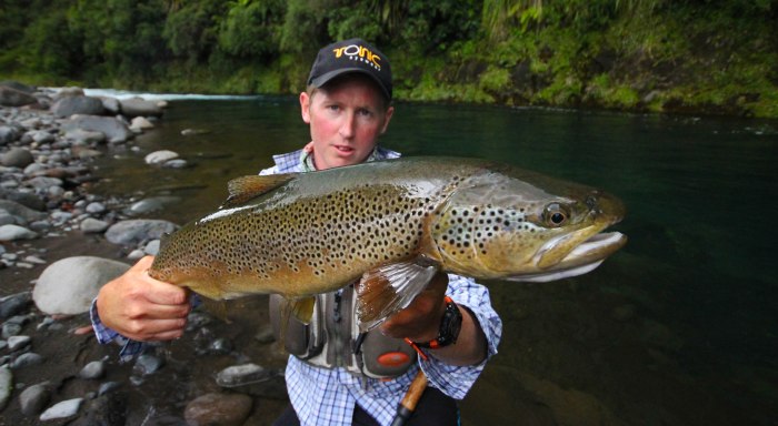 a Paul Anderson image