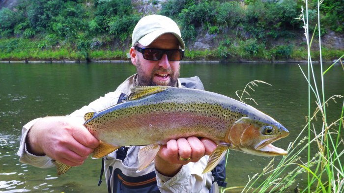 a Paul Anderson image