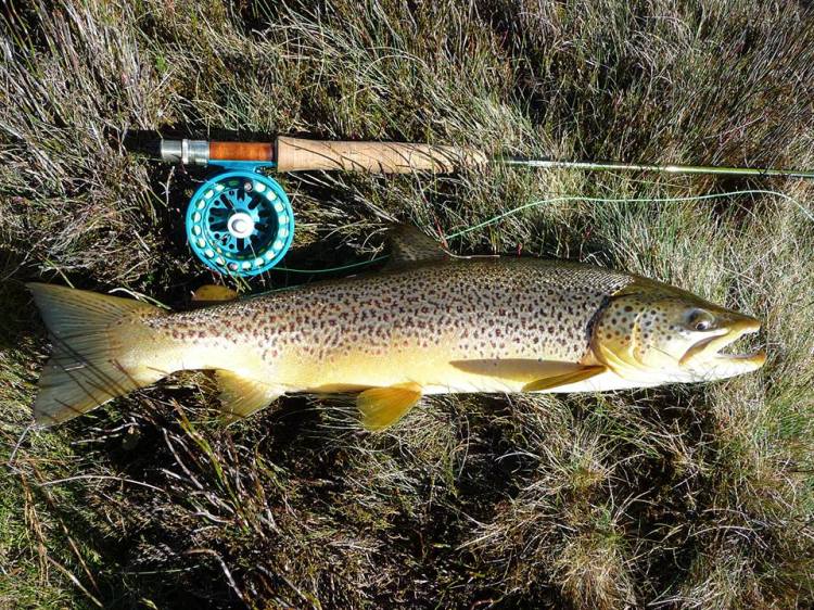 1467212_10151824487537709_1536626325_n