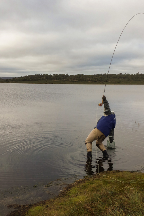 20140425_084910_resized_1