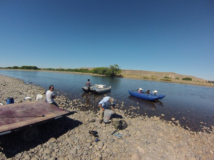 DCIM100GOPRO