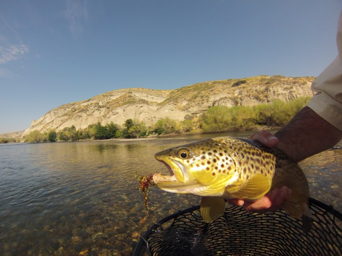DCIM100GOPRO